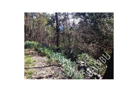 Helårsgrund i Venade e Azevedo, Viana do Castelo, Venade e Azevedo - € 50.000 | Ref: B1019 - foto 5