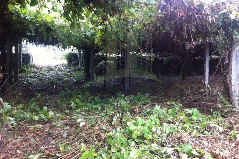 Helårsgrund i Venade e Azevedo, Viana do Castelo, Venade e Azevedo - € 32.500 | Ref: B1433 - foto 4