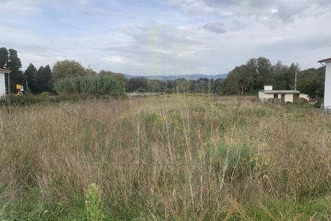 Helårsgrund i Viana do Castelo, Viana do Castelo, Viana do Castelo - € 75.000 | Ref: B2998 - foto 5