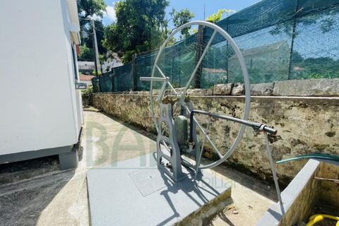 Villa a Caminha, Viana do Castelo, Caminha - € 186.000 | Ref: B2966 - foto 7