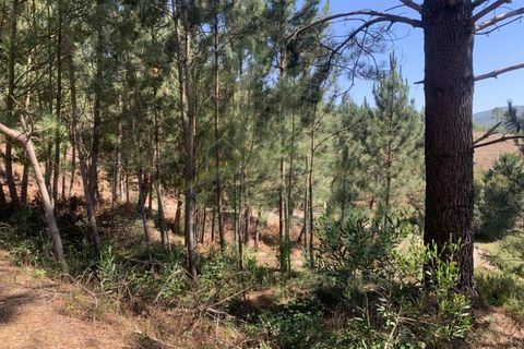 Helårsgrund i Venade e Azevedo, Viana do Castelo, Venade e Azevedo - € 45.000 | Ref: B2389 - foto 1