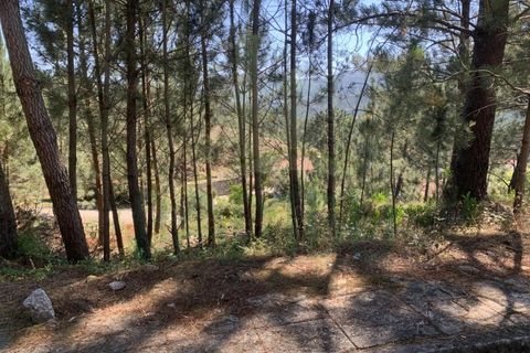 Helårsgrund i Venade e Azevedo, Viana do Castelo, Venade e Azevedo - € 45.000 | Ref: B2389 - foto 2