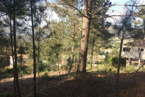 Helårsgrund i Venade e Azevedo, Viana do Castelo, Venade e Azevedo - € 45.000 | Ref: B2389 - foto 4