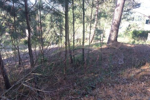 Helårsgrund i Venade e Azevedo, Viana do Castelo, Venade e Azevedo - € 45.000 | Ref: B2389 - foto 5
