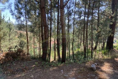 Helårsgrund i Venade e Azevedo, Viana do Castelo, Venade e Azevedo - € 45.000 | Ref: B2389 - foto 7