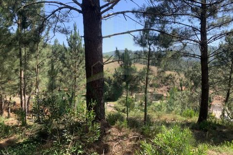 Helårsgrund i Venade e Azevedo, Viana do Castelo, Venade e Azevedo - € 45.000 | Ref: B2389 - foto 8
