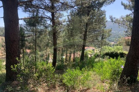 Helårsgrund i Venade e Azevedo, Viana do Castelo, Venade e Azevedo - € 45.000 | Ref: B2389 - foto 9
