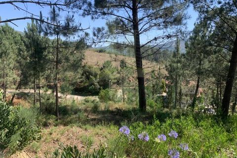 Helårsgrund i Venade e Azevedo, Viana do Castelo, Venade e Azevedo - € 45.000 | Ref: B2389 - foto 10