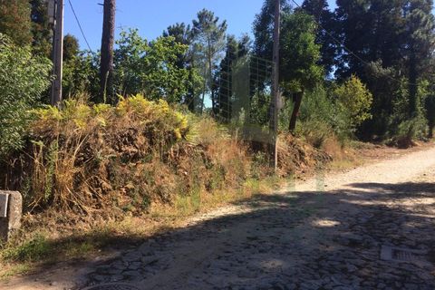 Tomt i Venade e Azevedo, Viana do Castelo, Venade e Azevedo - € 80 000 | Ref: B2101 - foto 2