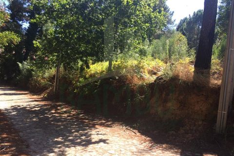 Tomt i Venade e Azevedo, Viana do Castelo, Venade e Azevedo - € 80 000 | Ref: B2101 - foto 3