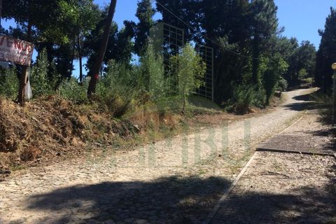 Tomt i Venade e Azevedo, Viana do Castelo, Venade e Azevedo - € 80 000 | Ref: B2101 - foto 6