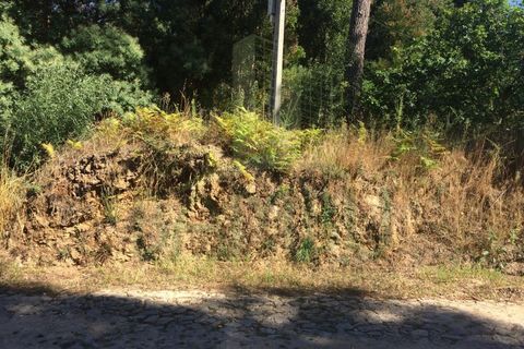 Tomt i Venade e Azevedo, Viana do Castelo, Venade e Azevedo - € 80 000 | Ref: B2101 - foto 7
