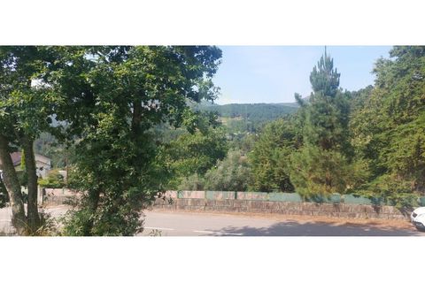 Helårsgrund i Viana do Castelo, Viana do Castelo, Viana do Castelo - € 45.000 | Ref: B3087 - foto 6