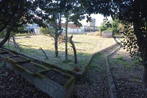 Villa i Valenca, Viana do Castelo, Valenca - € 600.000 | Ref: B3083 - foto 8