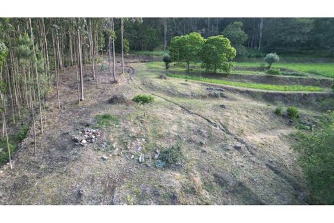 Helårsgrund i Valenca, Viana do Castelo, Valenca - € 25.000 | Ref: B2944 - foto 8