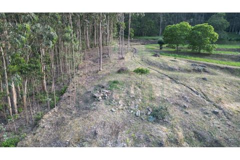 Helårsgrund i Valenca, Viana do Castelo, Valenca - € 25.000 | Ref: B2944 - foto 9