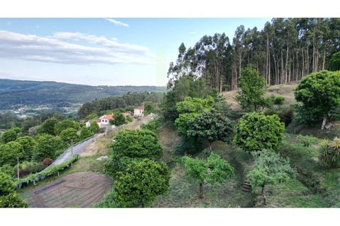 Helårsgrund i Valenca, Viana do Castelo, Valenca - € 25.000 | Ref: B2944 - foto 10
