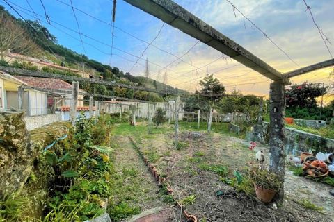 Villa a Caminha, Viana do Castelo, Caminha - € 450.000 | Ref: B2912 - foto 42