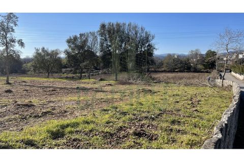 Terra a Valenca, Viana do Castelo, Valenca - € 115.000 | Ref: B2898 - foto 2