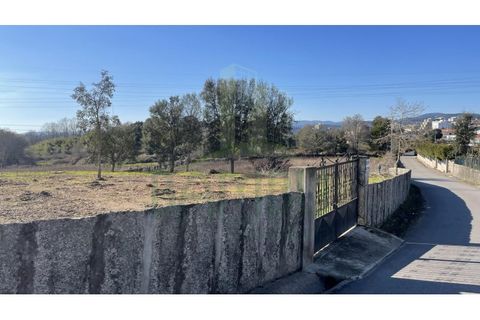 Terra a Valenca, Viana do Castelo, Valenca - € 115.000 | Ref: B2898 - foto 3