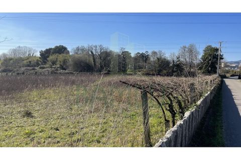 Terra a Valenca, Viana do Castelo, Valenca - € 115.000 | Ref: B2898 - foto 5