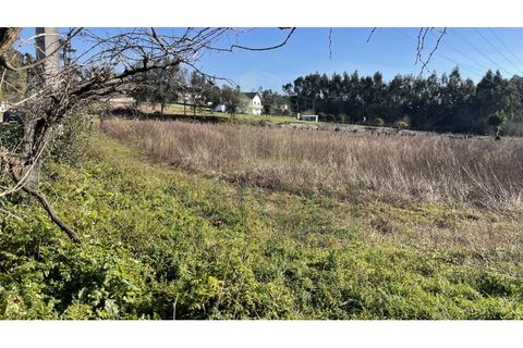 Terra a Valenca, Viana do Castelo, Valenca - € 115.000 | Ref: B2898 - foto 6