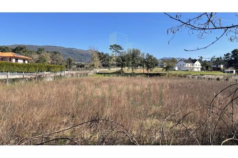 Terra a Valenca, Viana do Castelo, Valenca - € 115.000 | Ref: B2898 - foto 7