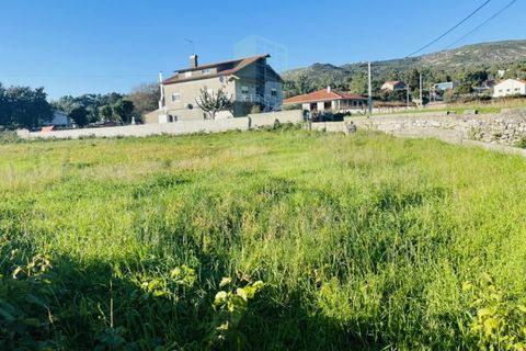 Helårsgrund i Caminha, Viana do Castelo, Caminha - € 80.000 | Ref: B2881 - foto 6