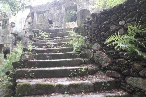 Ruinere i Caminha, Viana do Castelo, Caminha - € 59.500 | Ref: B2880 - foto 2