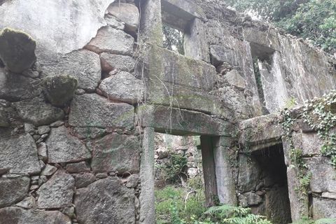Ruinere i Caminha, Viana do Castelo, Caminha - € 59.500 | Ref: B2880 - foto 3