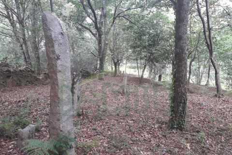 Ruinere i Caminha, Viana do Castelo, Caminha - € 59.500 | Ref: B2880 - foto 5
