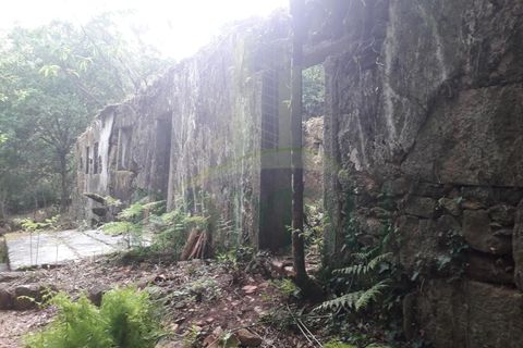 Ruinere i Caminha, Viana do Castelo, Caminha - € 59.500 | Ref: B2880 - foto 6