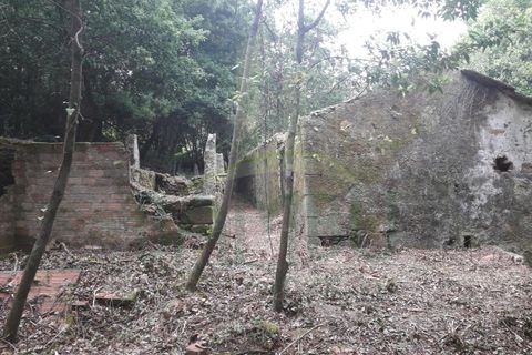 Ruinere i Caminha, Viana do Castelo, Caminha - € 59.500 | Ref: B2880 - foto 8