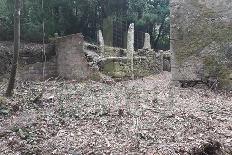 Ruinere i Caminha, Viana do Castelo, Caminha - € 59.500 | Ref: B2880 - foto 9