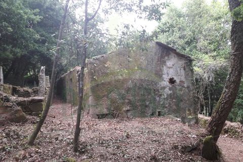 Ruinere i Caminha, Viana do Castelo, Caminha - € 59.500 | Ref: B2880 - foto 10