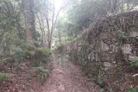 Ruinere i Caminha, Viana do Castelo, Caminha - € 59.500 | Ref: B2880 - foto 11