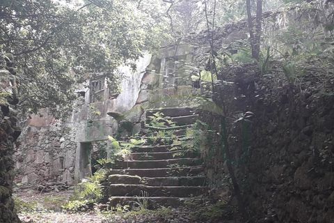 Ruinere i Caminha, Viana do Castelo, Caminha - € 59.500 | Ref: B2880 - foto 12