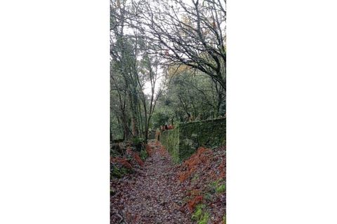 Ruinere i Caminha, Viana do Castelo, Caminha - € 59.500 | Ref: B2880 - foto 13