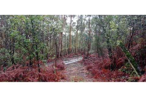 Ruinere i Caminha, Viana do Castelo, Caminha - € 59.500 | Ref: B2880 - foto 15