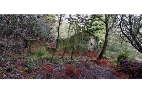 Ruinere i Caminha, Viana do Castelo, Caminha - € 59.500 | Ref: B2880 - foto 16