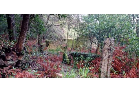 Ruinere i Caminha, Viana do Castelo, Caminha - € 59.500 | Ref: B2880 - foto 17