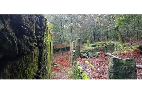 Ruinere i Caminha, Viana do Castelo, Caminha - € 59.500 | Ref: B2880 - foto 23