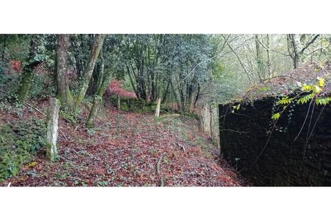 Ruinere i Caminha, Viana do Castelo, Caminha - € 59.500 | Ref: B2880 - foto 25