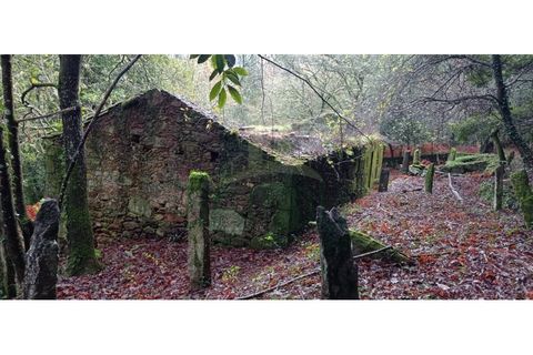 Ruinere i Caminha, Viana do Castelo, Caminha - € 59.500 | Ref: B2880 - foto 27