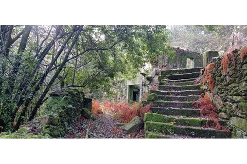 Ruinere i Caminha, Viana do Castelo, Caminha - € 59.500 | Ref: B2880 - foto 30