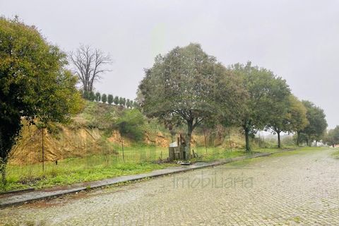 Helårsgrund i Venade e Azevedo, Viana do Castelo, Venade e Azevedo - € 65.000 | Ref: B2870 - foto 3