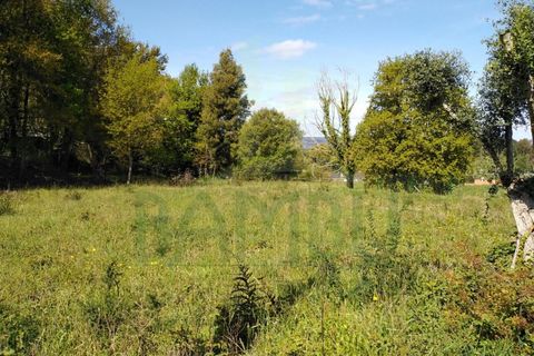 Helårsgrund i Viana do Castelo, Viana do Castelo, Viana do Castelo - € 90.000 | Ref: B2668 - foto 8