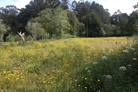 Helårsgrund i Valenca, Viana do Castelo, Valenca - € 60.000 | Ref: B2114 - foto 4