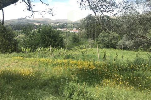 Helårsgrund i Valenca, Viana do Castelo, Valenca - € 60.000 | Ref: B2114 - foto 5