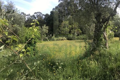 Helårsgrund i Valenca, Viana do Castelo, Valenca - € 60.000 | Ref: B2114 - foto 6